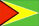 Guyana Flag