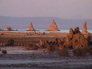 Lake Abbe, Djibouti