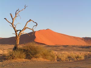 Namibia