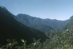 Ekuti Range, Papua New Guinea