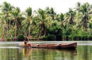 Dugout Canoe in the Rennell Island lagoon, Solomon Islands