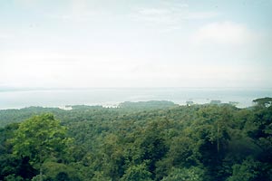 Suriname