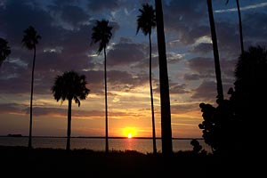 Dunedin, Florida, USA