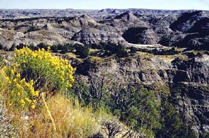 North Dakota