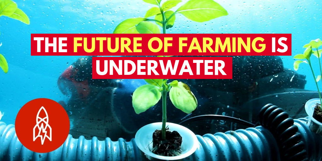 The Future of Farming Is Underwater