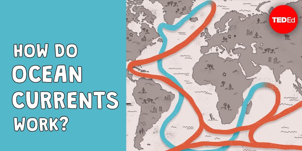 How do ocean currents work? - Jennifer Verduin