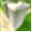 condosingapore.com