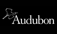 Audubon