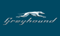 Greyhound