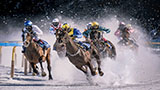 Top Horse Racing Websites