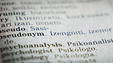 Top Dictionaries & Translators Websites