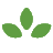 The Plan Fund
