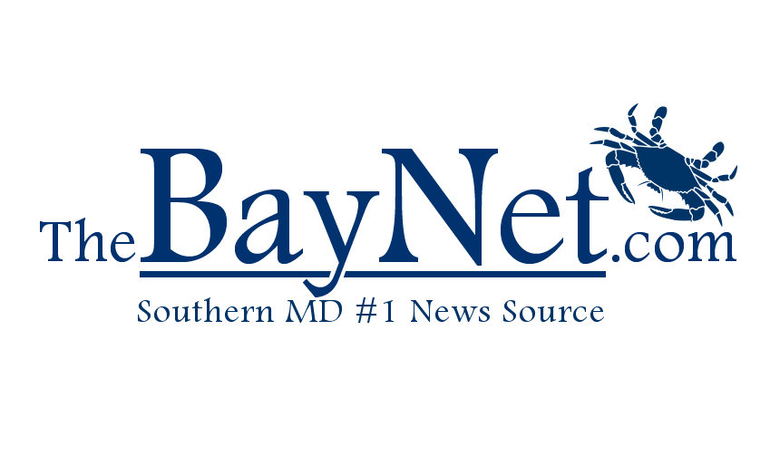 Bay Net