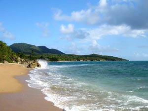 Blue Beach Puerto Rico The Best Beaches In World Puerto Rico Newspapers News Media San Juan Allyoucanread More About Esperanza Beach