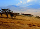 Top 36 Tanzania News Sites