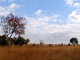 Top 12 Zambia News Sites