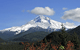 Top Oregon Newspapers & News Media